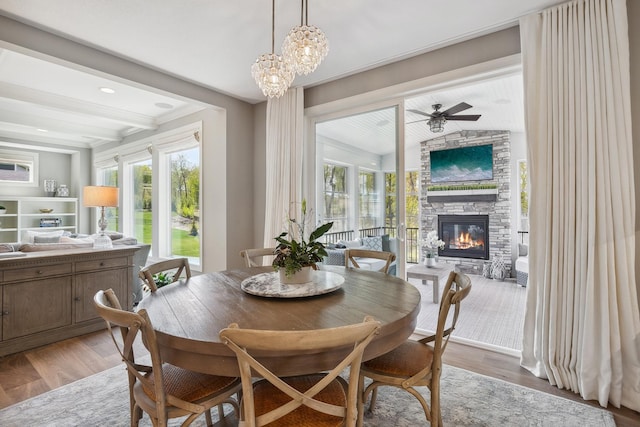 4233 Halstead Bay Alcove, Minnetrista, MN 55331 - dining area featuring a fireplace, light wood-style floors, a ceiling fan, and plenty of natural light