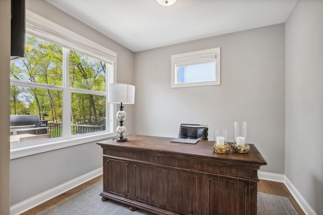4233 Halstead Bay Alcove, Minnetrista, MN 55331 - office featuring baseboards, healthy amount of natural light, and dark wood finished floors