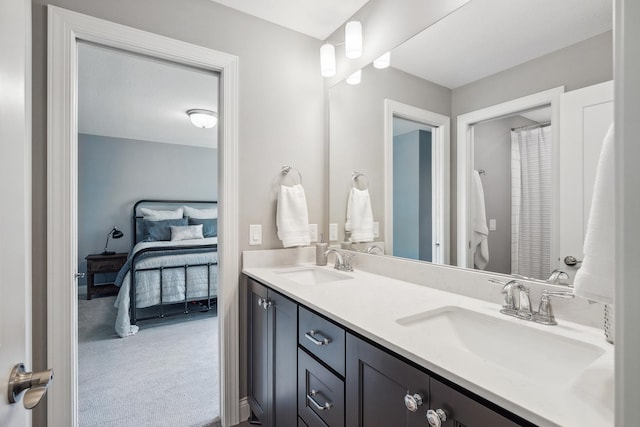 4233 Halstead Bay Alcove, Minnetrista, MN 55331 - ensuite bathroom featuring double vanity