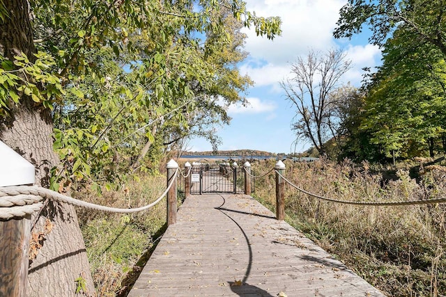 4233 Halstead Bay Alcove, Minnetrista, MN 55331 - view of yard featuring a gate