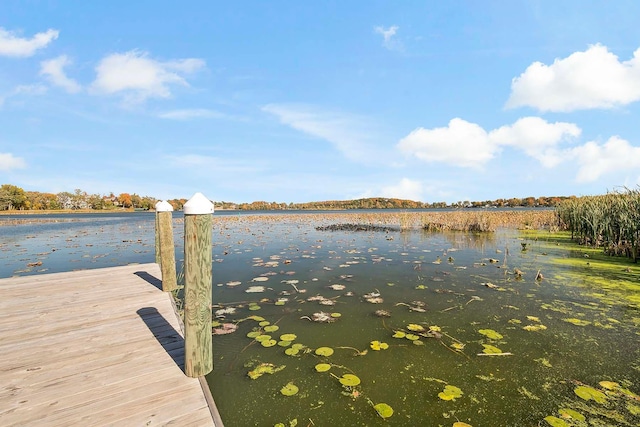 4233 Halstead Bay Alcove, Minnetrista, MN 55331 - dock with a water view