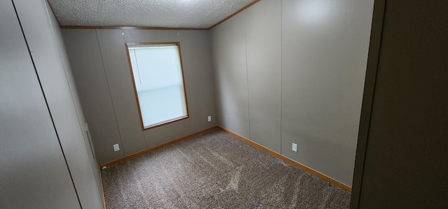 306 4th St S, Hoffman, MN 56339 - carpeted spare room with baseboards, a textured ceiling, crown molding, and a decorative wall