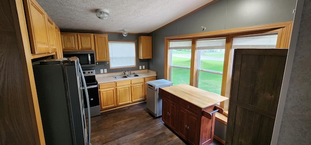 306 4th St S, Hoffman, MN 56339 - kitchen with stainless steel appliances, a sink, vaulted ceiling, dark wood-style floors, and light countertops