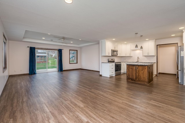209 Plum Run, Le Sueur, MN 56058 - kitchen with stainless steel appliances, open floor plan, a raised ceiling, a sink, and recessed lighting