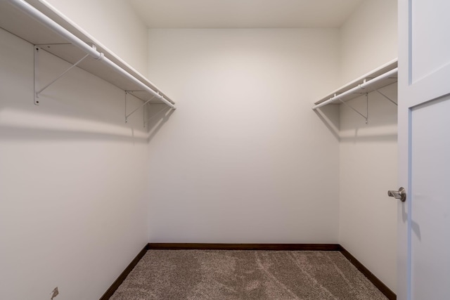 209 Plum Run, Le Sueur, MN 56058 - spacious closet with carpet flooring