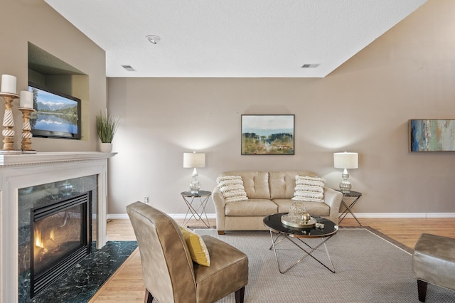 7619 Derby Ln, Shakopee, MN 55379 - living area featuring wood finished floors, a premium fireplace, and baseboards