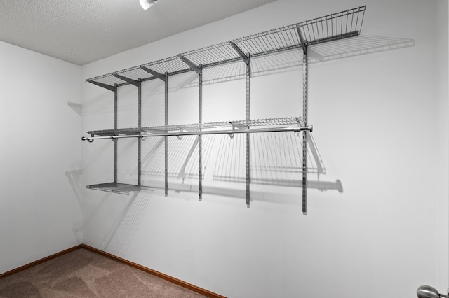 7619 Derby Ln, Shakopee, MN 55379 - walk in closet with carpet