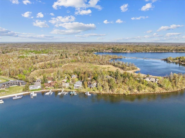drone / aerial view of a large body of water and a forest