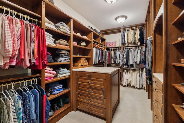 614 Hidden Creek Trl, Mendota Heights, MN 55118 - spacious closet featuring light colored carpet