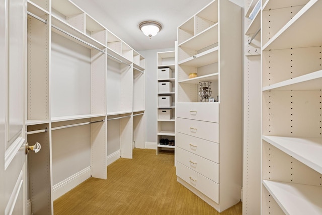 614 Hidden Creek Trl, Mendota Heights, MN 55118 - spacious closet with light carpet
