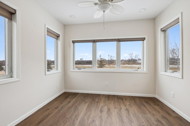17865 Graphite Ln, Lakeville, MN 55044 - unfurnished room with wood finished floors, a healthy amount of sunlight, a ceiling fan, and baseboards