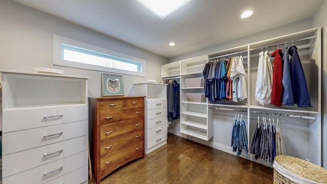 walk in closet featuring wood finished floors