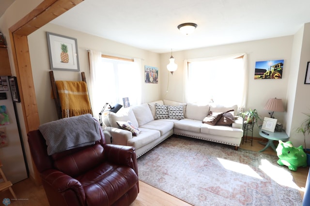 101 Mckenzie Ave, Strathcona, MN 56759 - living room with wood finished floors