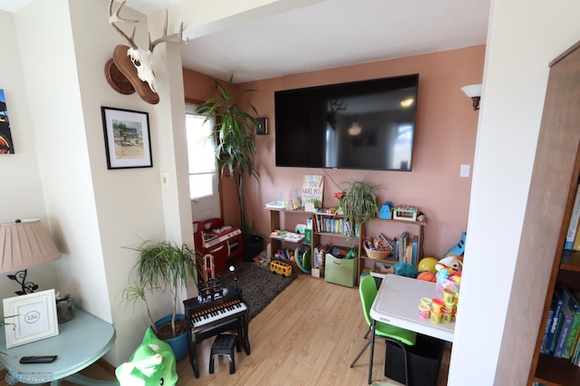 101 Mckenzie Ave, Strathcona, MN 56759 - living room featuring wood finished floors