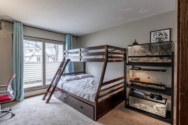 8372 Lower 138th Ct, Apple Valley, MN 55124 - bedroom featuring carpet floors and a textured ceiling
