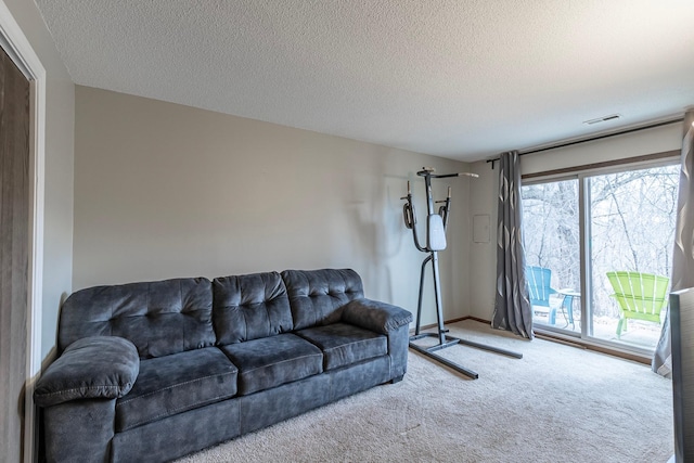 8372 Lower 138th Ct, Apple Valley, MN 55124 - carpeted living area with a textured ceiling