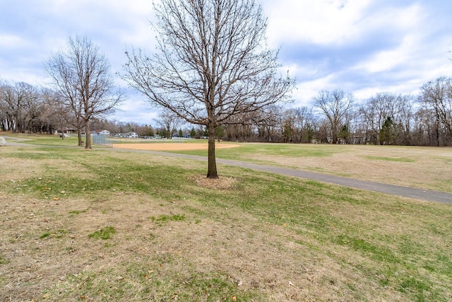 8372 Lower 138th Ct, Apple Valley, MN 55124 - view of green lawn