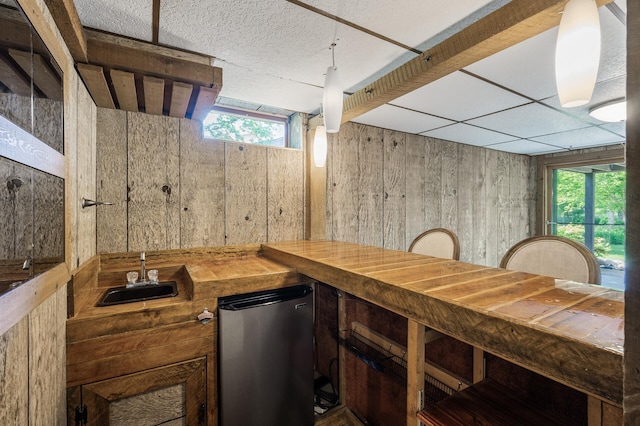 805 Ithaca Ln N, Plymouth, MN 55447 - indoor wet bar featuring fridge and healthy amount of natural light