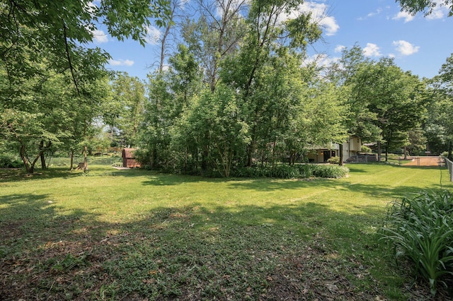 805 Ithaca Ln N, Plymouth, MN 55447 - view of yard