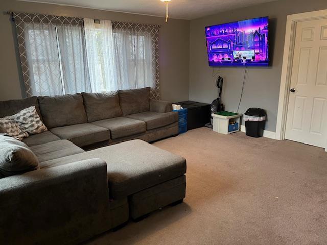 carpeted living room with a wealth of natural light and baseboards