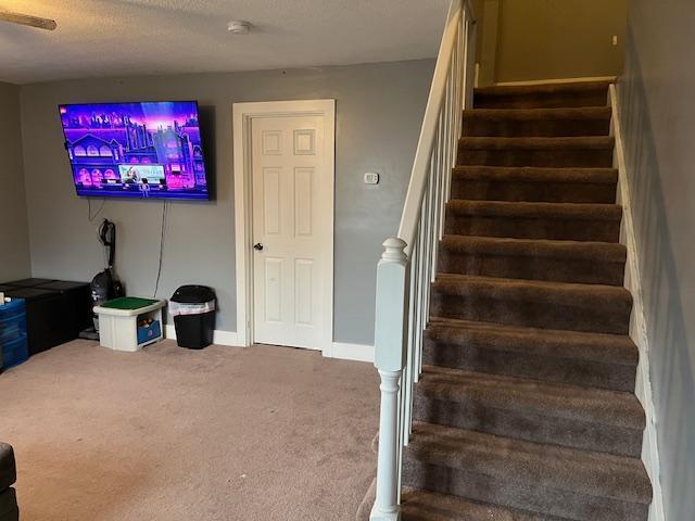 stairway featuring carpet