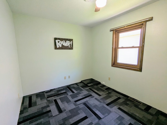 46167 Jefferson Lake Dr, Cleveland Twp, MN 56017 - unfurnished room featuring dark carpet