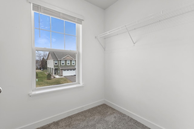 walk in closet featuring carpet flooring