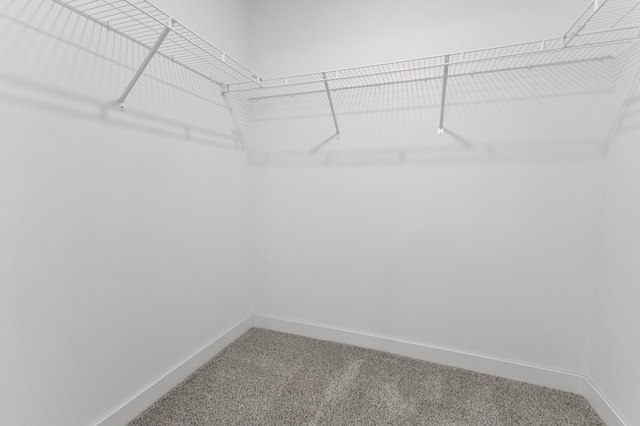 walk in closet featuring carpet flooring