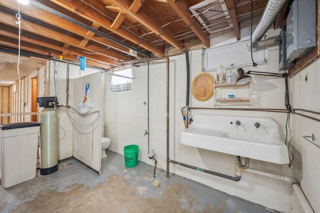 unfinished below grade area with a sink