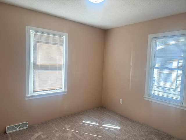 spare room with healthy amount of natural light, carpet floors, and a textured ceiling