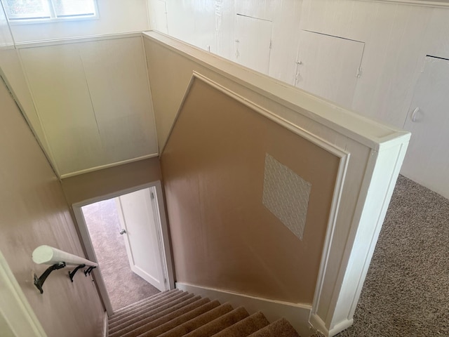 stairway featuring carpet