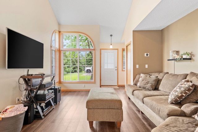 11215 16th St NE, Saint Michael, MN 55376 - living room with wood finished floors, plenty of natural light, vaulted ceiling, and baseboards