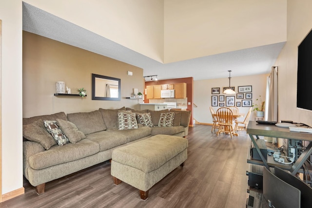 11215 16th St NE, Saint Michael, MN 55376 - living room featuring dark wood finished floors, a towering ceiling, and baseboards