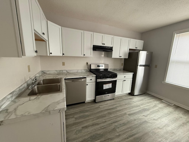 kitchen with white cabinets, under cabinet range hood, a sink, and appliances with stainless steel finishes