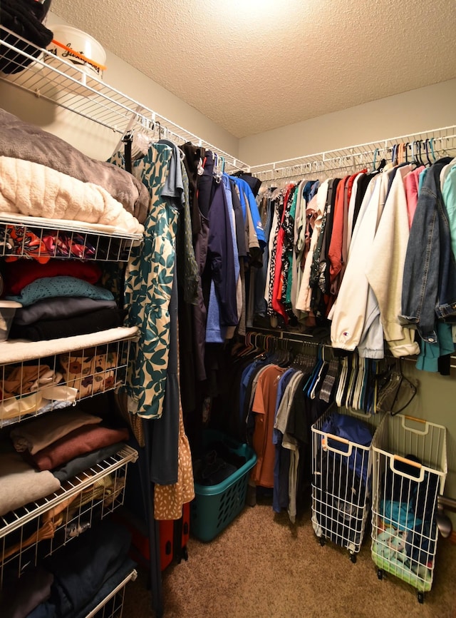 spacious closet with carpet flooring