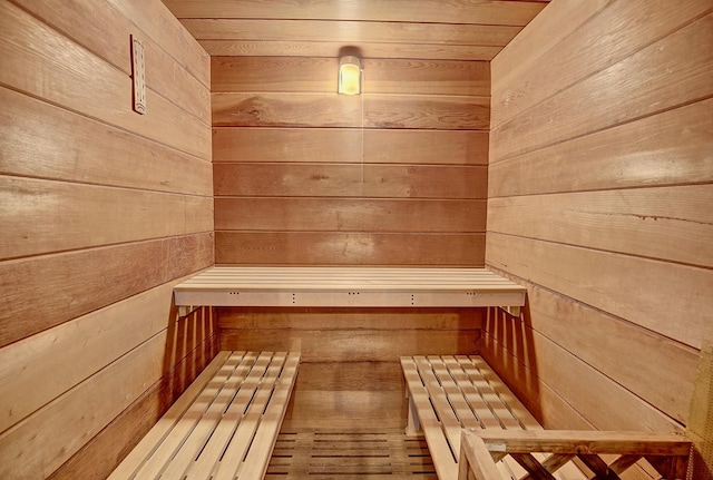 25755 E Comfort Dr, Wyoming, MN 55013 - view of sauna / steam room