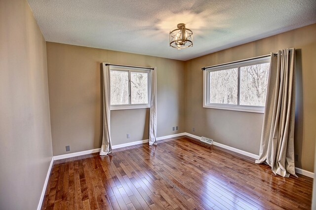 25755 E Comfort Dr, Wyoming, MN 55013 - spare room featuring dark wood-style floors, a healthy amount of sunlight, a chandelier, and visible vents
