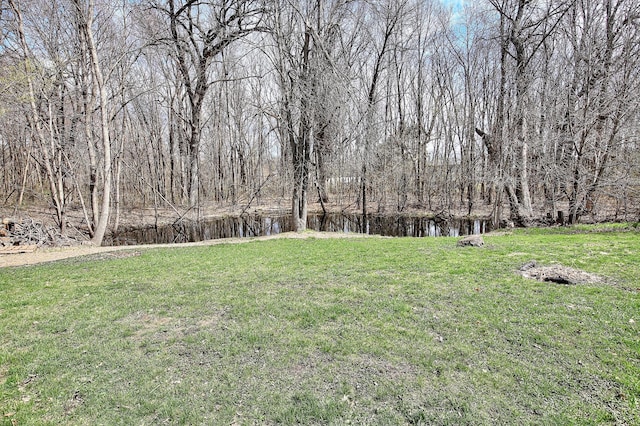 25755 E Comfort Dr, Wyoming, MN 55013 - view of yard