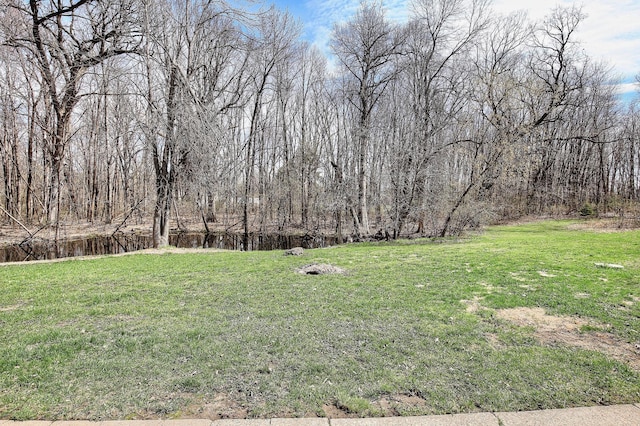 25755 E Comfort Dr, Wyoming, MN 55013 - view of yard