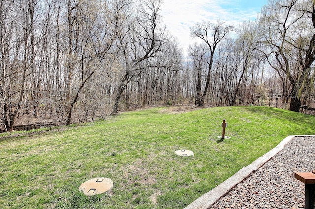 25755 E Comfort Dr, Wyoming, MN 55013 - view of yard