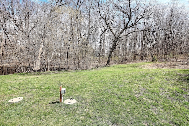 25755 E Comfort Dr, Wyoming, MN 55013 - view of yard
