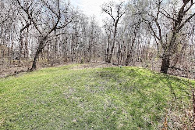 25755 E Comfort Dr, Wyoming, MN 55013 - view of yard with a wooded view