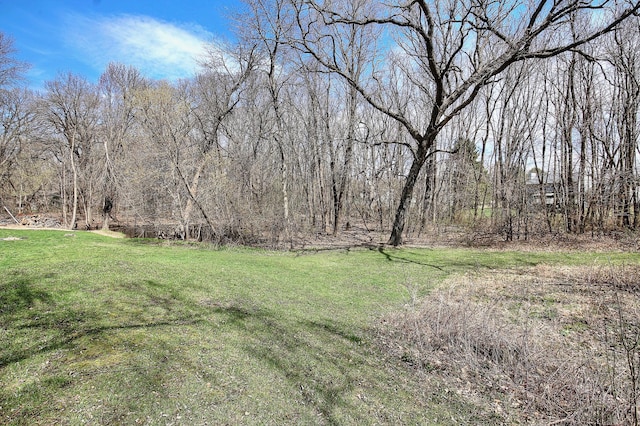 25755 E Comfort Dr, Wyoming, MN 55013 - view of yard