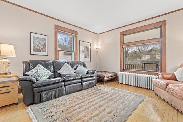 living area with crown molding, radiator, a healthy amount of sunlight, and hardwood / wood-style flooring