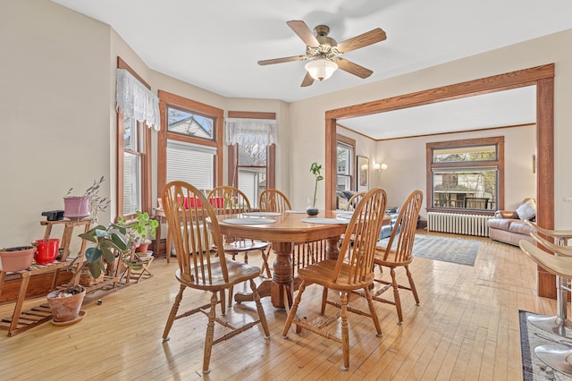 dining area with light wood-type flooring, radiator, and ceiling fan