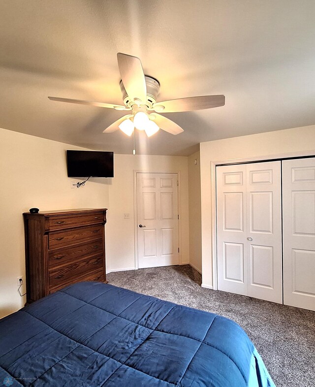 409 Prairieview St, St Thomas, ND 58276 - unfurnished bedroom featuring carpet, a ceiling fan, and a closet