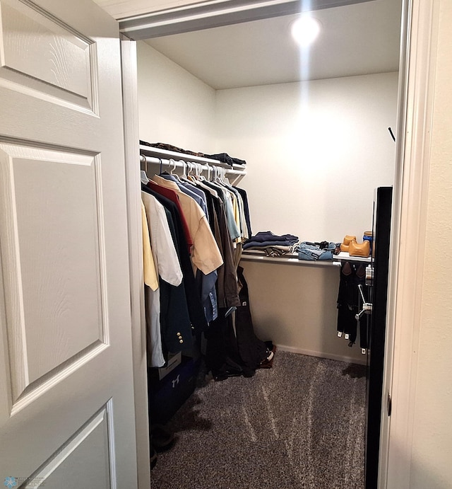 409 Prairieview St, St Thomas, ND 58276 - walk in closet featuring carpet floors
