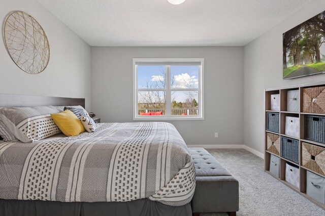 606 Blue Heron Cir, Jordan, MN 55352 - photo 27