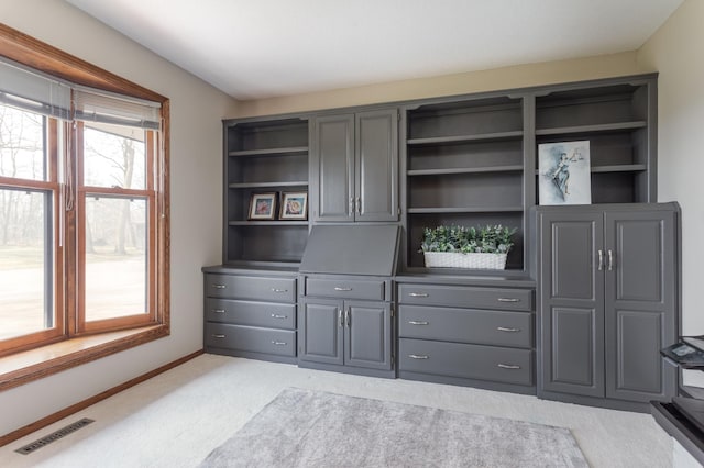 closet with visible vents