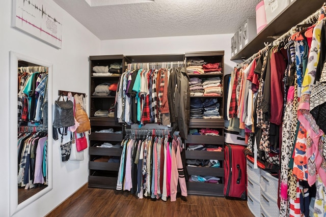 14921 Zeolite St NW, Ramsey, MN 55303 - spacious closet featuring wood finished floors